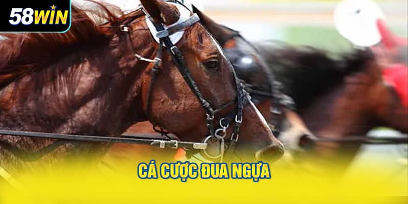 cá cược đua ngựa