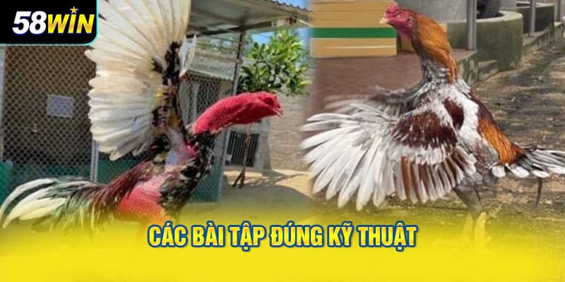 Các bài tập đúng kỹ thuật