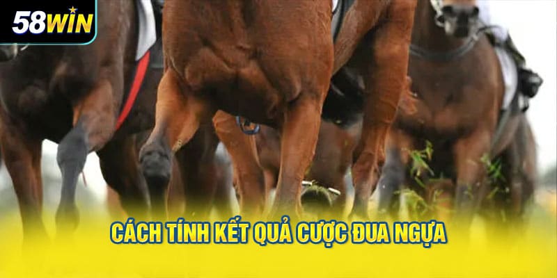 Cách tính kết quả cược đua ngựa
