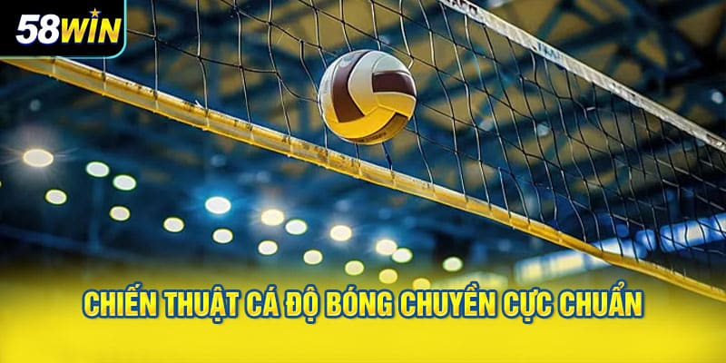 Chiến thuật cá độ bóng chuyền cực chuẩn từ cao thủ
