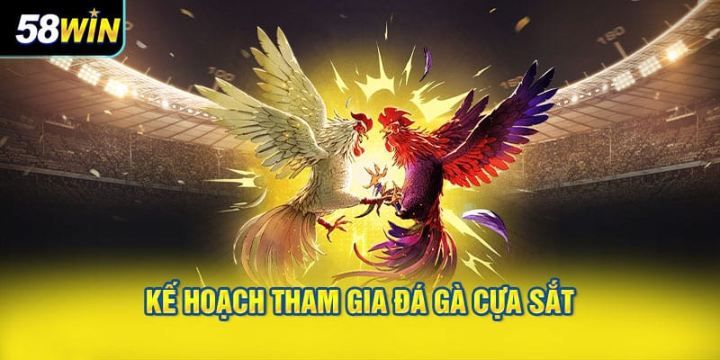 Kế hoạch tham gia đá gà cựa sắt